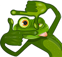 grenouille-photo